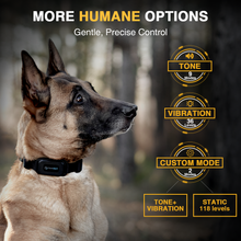 Load image into Gallery viewer, T70A Dog Training Collar