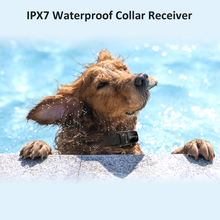 Lade das Bild in den Galerie-Viewer, T50B Hundetrainingshalsband (in 4 Farben erhältlich)