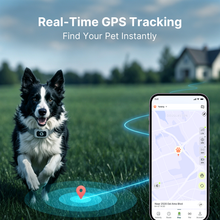 Charger l'image dans la galerie, Collier de dressage pour chien T70B