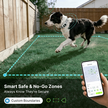 Charger l'image dans la galerie, Collier de dressage pour chien T70B