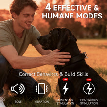 Charger l'image dans la galerie, Collier de dressage pour chien T60A (disponible en 4 couleurs)