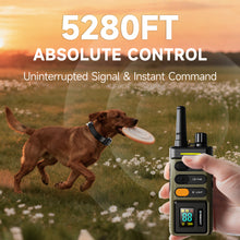 Load image into Gallery viewer, T-WORKS 2 Dog Training Collar