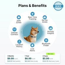 Charger l'image dans la galerie, Collier de dressage pour chien T70B