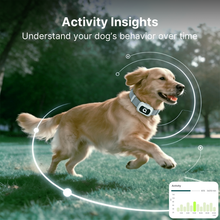 Charger l'image dans la galerie, Collier de dressage pour chien T70B