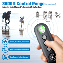 Lade das Bild in den Galerie-Viewer, T20B Hundetrainingshalsband (in 2 Farben erhältlich)