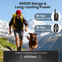 Load image into Gallery viewer, TB10 2-in-1 Bark Collar & Shock Collar