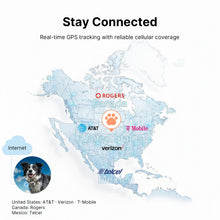 Charger l'image dans la galerie, Collier de dressage pour chien T70B