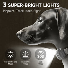 Load image into Gallery viewer, T-WORKS 2 Dog Training Collar
