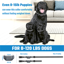 Load image into Gallery viewer, T20 Dog Training Collar [For 1 Dog]
