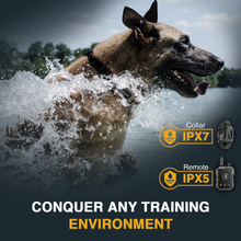 Load image into Gallery viewer, T70A Dog Training Collar
