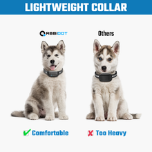 Load image into Gallery viewer, T20 Dog Training Collar[For 2 Dogs]
